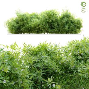 现代灌木丛-03